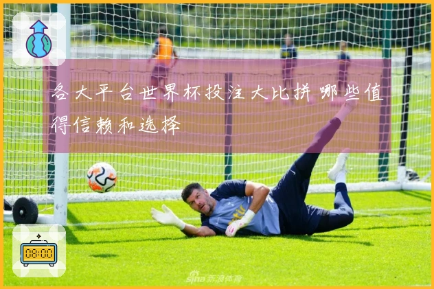 各大平台世界杯投注大比拼 哪些值得信赖和选择