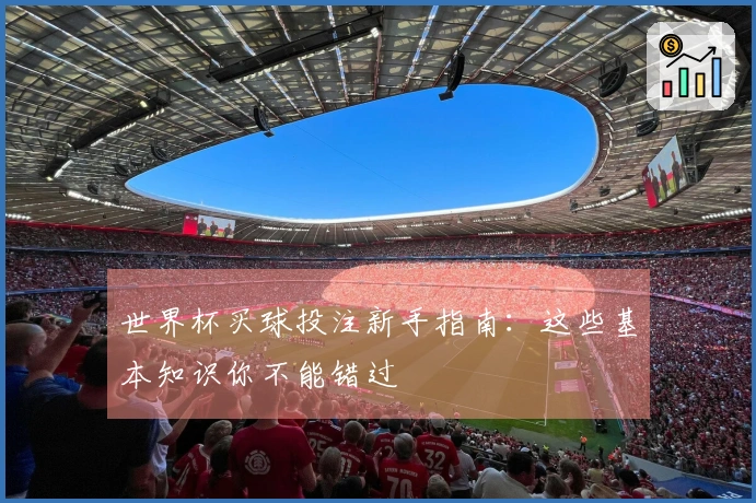 世界杯买球投注新手指南：这些基本知识你不能错过