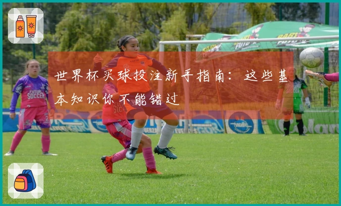 世界杯买球投注新手指南：这些基本知识你不能错过