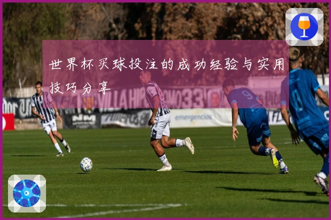 世界杯买球投注的成功经验与实用技巧分享